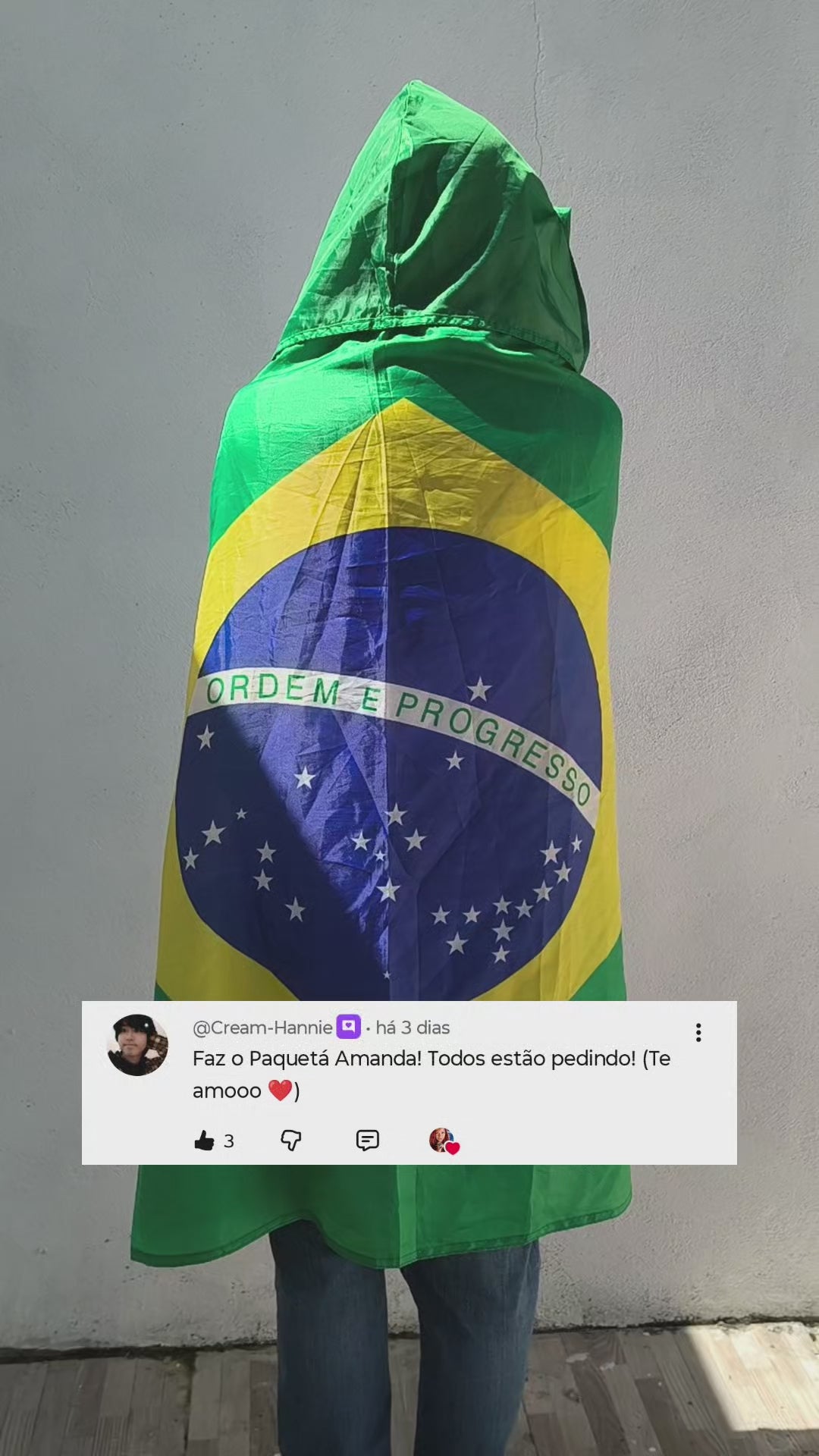 Paquetá | Desenho Realista do Canal Amanda Pacifico