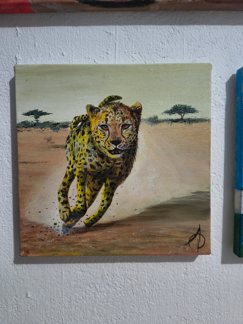 Guepardo 20x20cm
