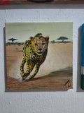 Guepardo 20x20cm